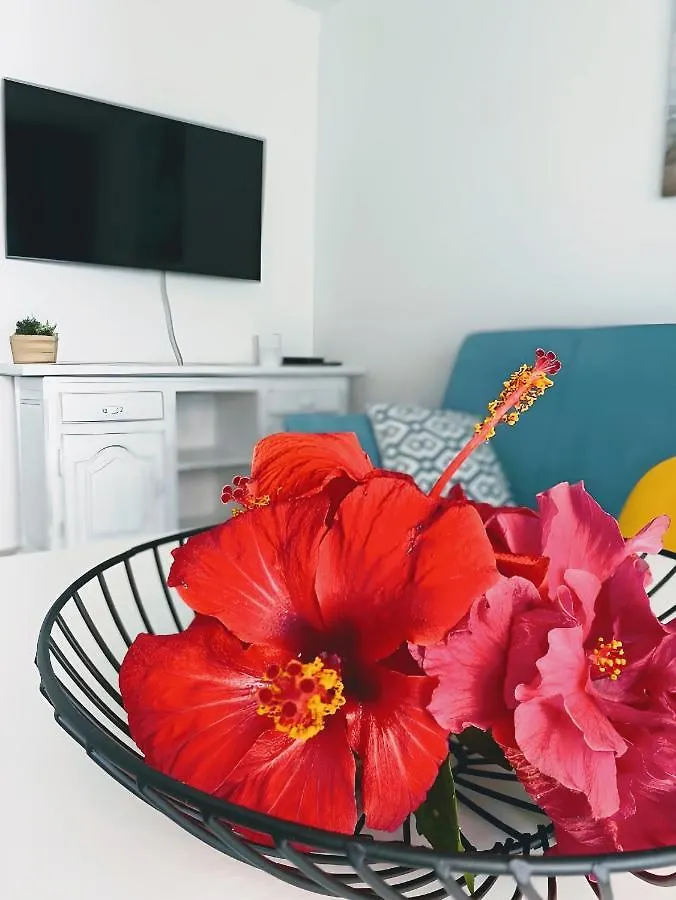 Red Hibiscus Corralejo Irent Fuerteventura Apartment