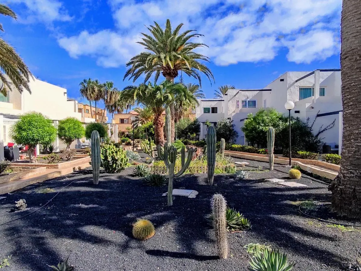 Red Hibiscus Corralejo Irent Fuerteventura Apartment Spain